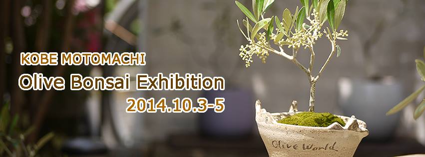 olive_expo_kobe2