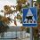 「注意！猫が道路を横断します！」ギリシャ・レフカダ島の猫愛あふれる道路標識