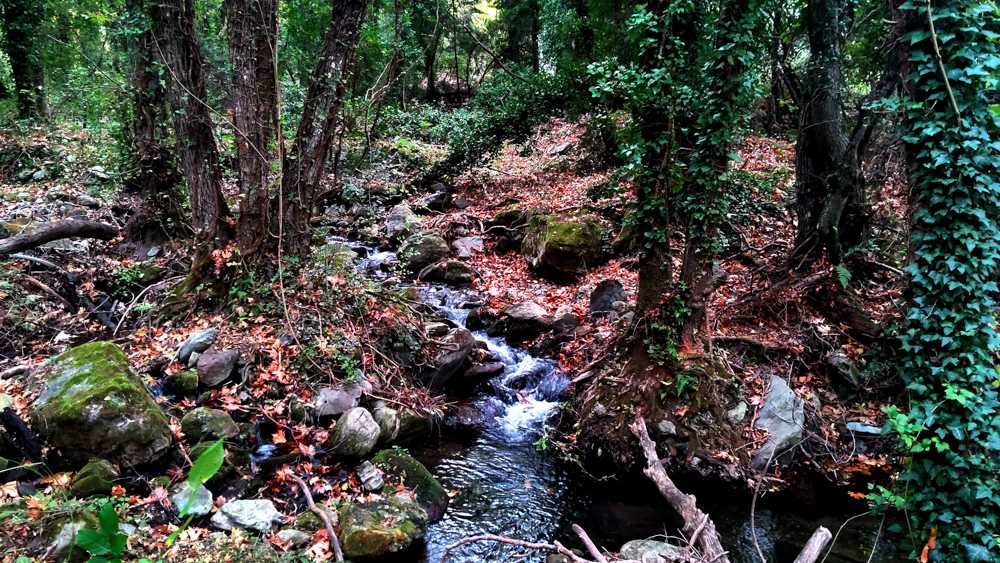 Mt Taygetus
