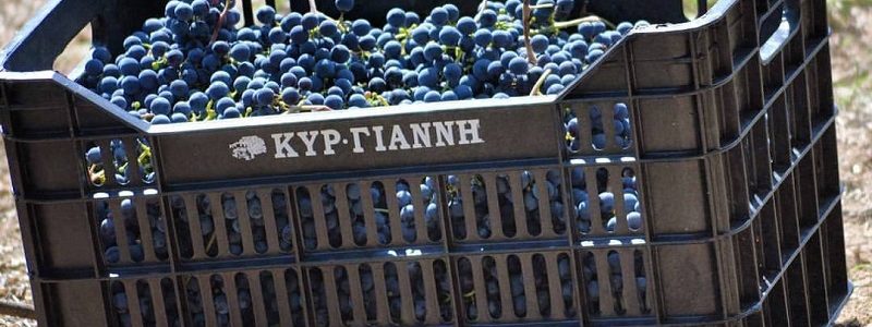 kir-yanni-vineyard.jpg